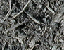 Black Mulch